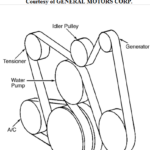Chevy 6 Cylinder Engine Diagram