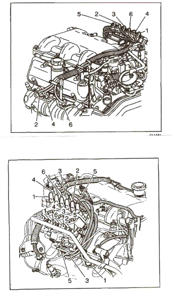 I Have The Spark Plug Wires Off On A 2002 Impala 3 4 Liter I Need To 