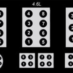 2000 Ford Expedition Firing Order Diagram Wiring And Printable