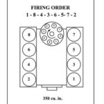 How To Set Firing Order On Chevy 350 2022 SBC Firing Order