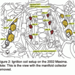 ZL 1191 Nissan Maxima Firing Order On Nissan 2008 Frontier Engine